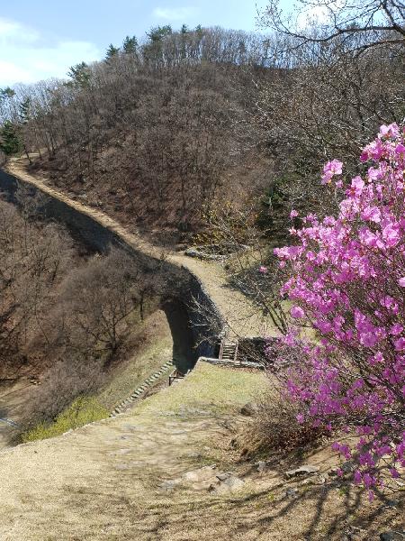 충주산성(마고산성)