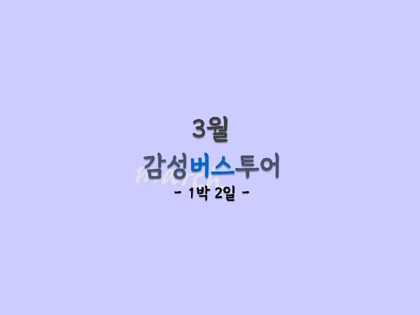 3월 감성버스투어 [1박 2일]