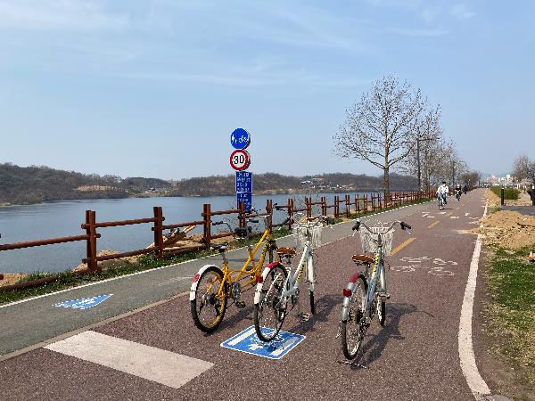 (벚꽃명소)세계무술공원 자전거길