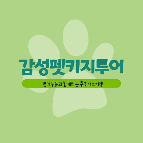 감성 펫키지투어