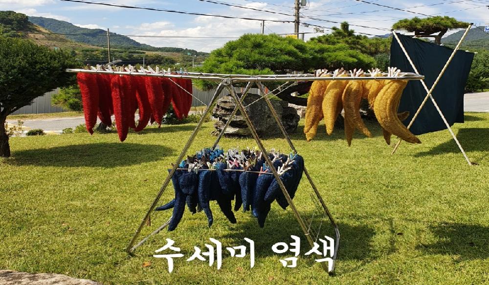 [크기변환]수세미 염색1.jpeg